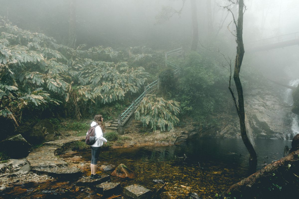 A person looking at the misty forest in Sapa