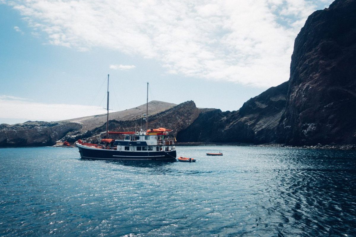 ¿De forma independiente o con cruceros de última hora?