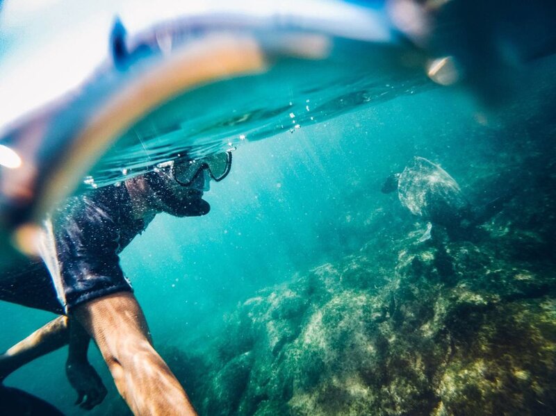 Com este plano, eu pude ver a parte mais remota de Galápagos onde você não pode fazê-los independentemente, tudo de uma só vez, e eu pude fazer coisas como snorkeling com tartarugas marinhas, tubarões e focas't do them independently, all in one go, and I got to do things like snorkeling with sea turtles, sharks and seals