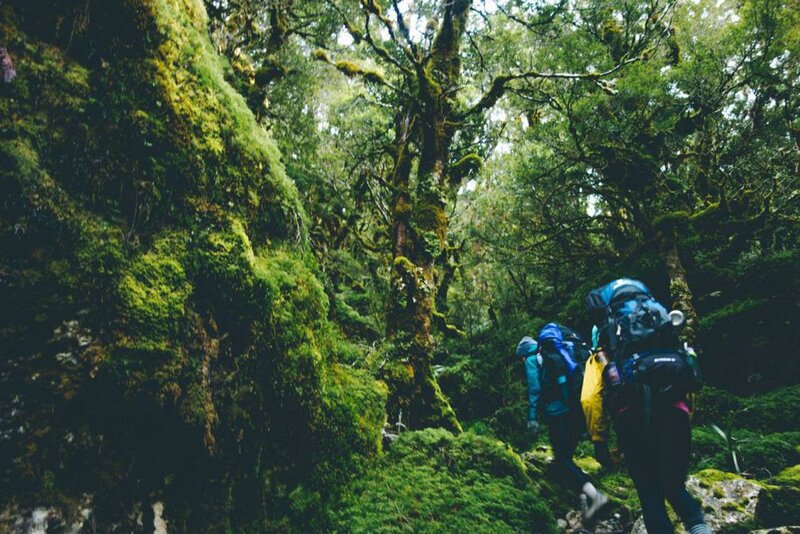 The Ultimate Hiking Guide to the Routeburn Track, New Zealand in 2023