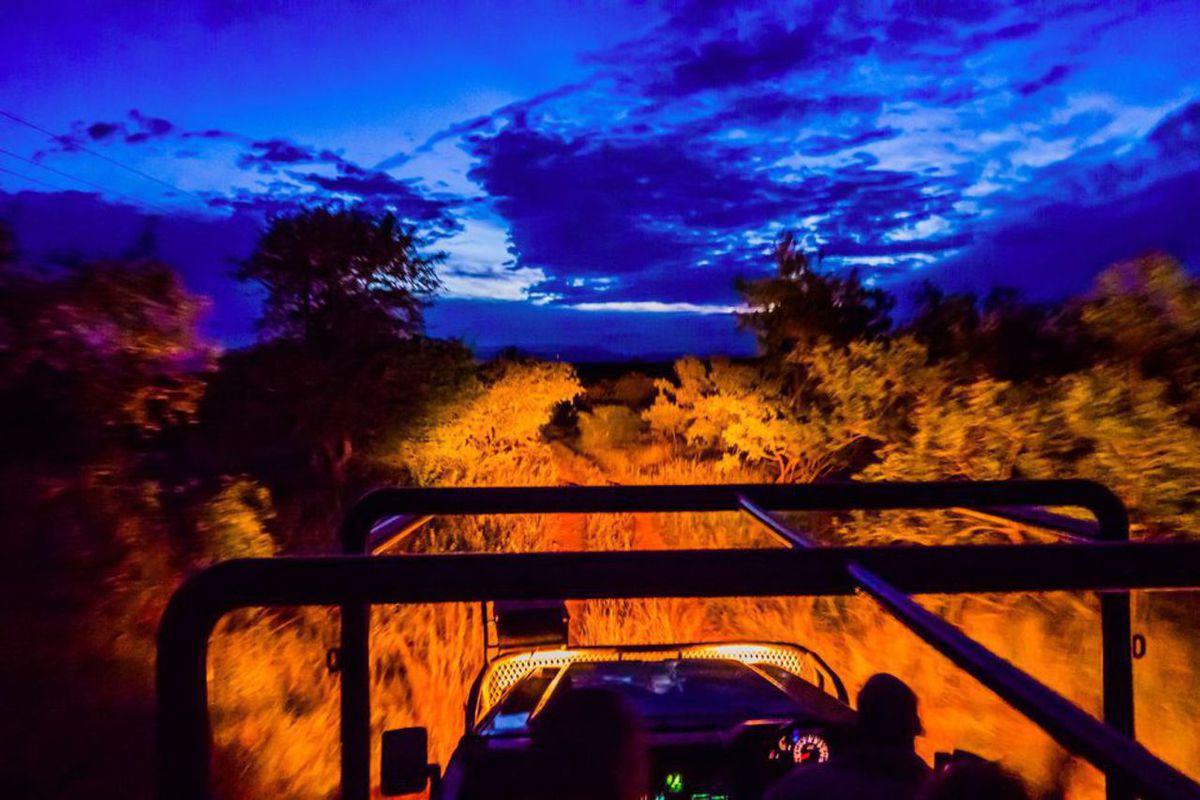 night safari kruger national park