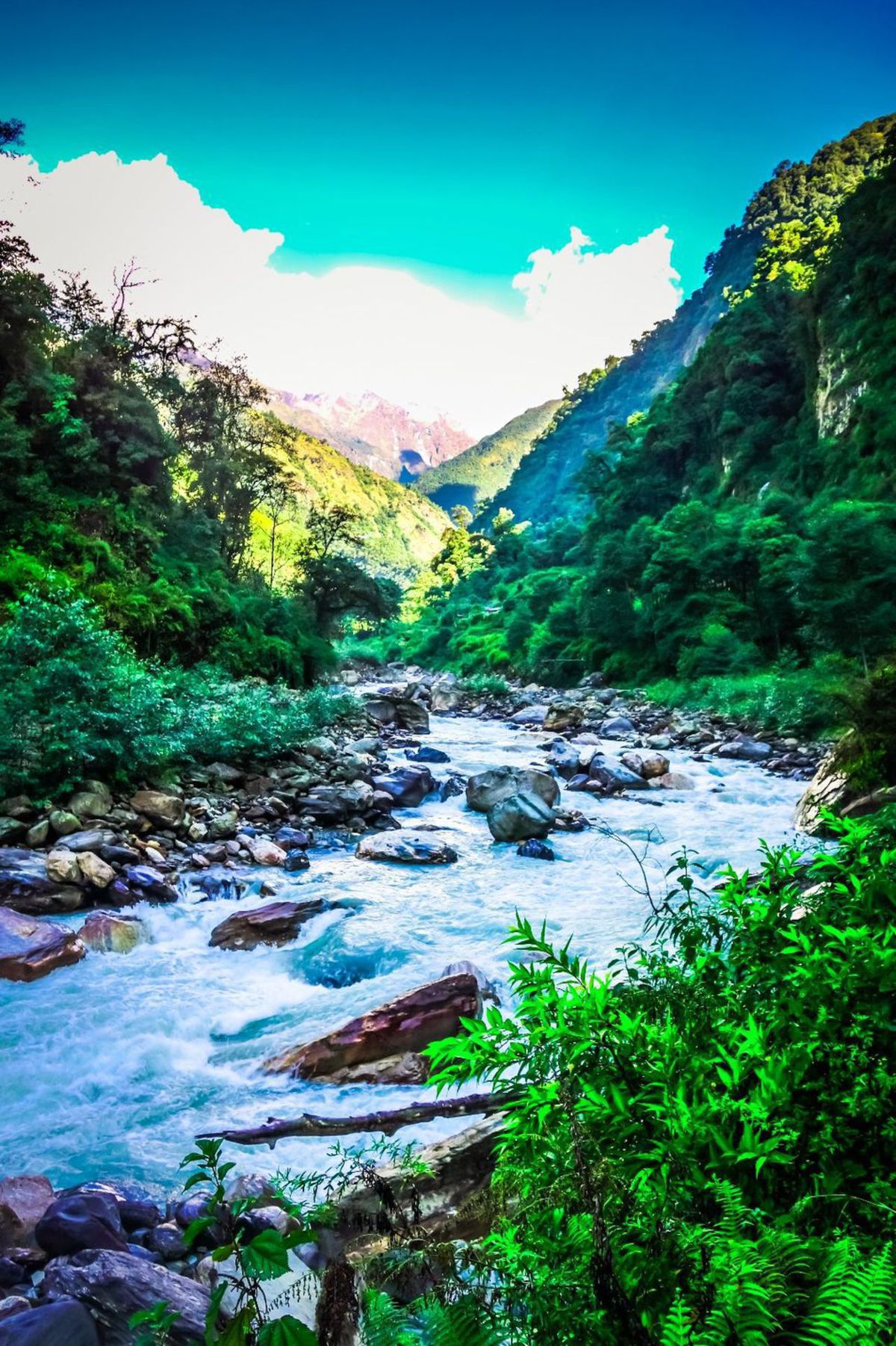 Jedes Mal, wenn ich zum Fluss absteigen musste, tief in mir weiß ich, dass ich all diese Höhen wieder erklimmen muss, ganz zu schweigen davon, dass der Rückweg genauso anstrengend wäre