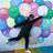 Huy Pham's profile picutre