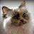 Sue Humphries's profile picutre