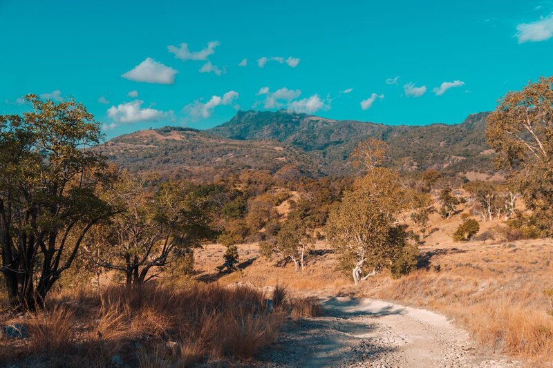 A Complete Travel Guide to Atauro Island, Timor Leste