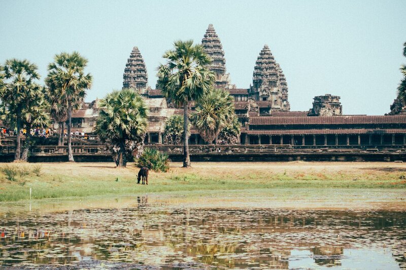 Um cavalo em frente ao Angkor Wat enquanto multidões de turistas inundavam o terreno do templo.