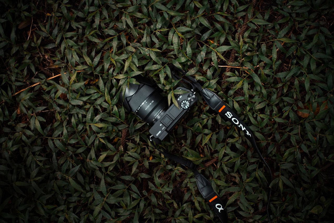The Sony a6400 laid in the grass