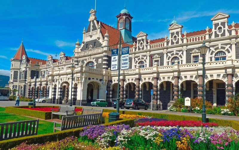 10 Fantastic Things to do in Dunedin, New Zealand for Solo Travelers
