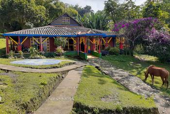 Yambolombia Hostel - Budget - Dorm