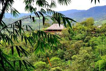 Terrabambu Lodge - High-End - Suite