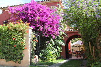 Hostal El Arbol - Budget - Dorm