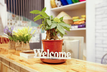BFF Saigon Hostel - Budget - Dorm