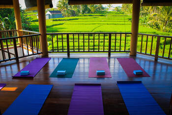 Ubud Rice Field House - Budget - Dorm