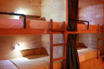 Gibbon Guesthouse - Budget - Dorm