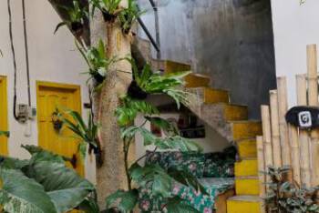 Banana Homestay - Budget - Double Room