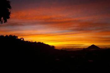 Bajawa-Roo Hotel - Mid-Range - Double Room