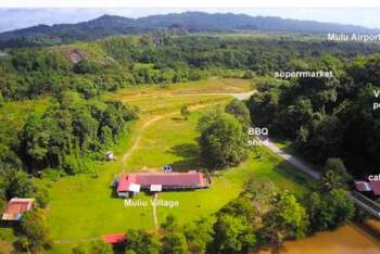 Mulu Village - Budget - Twin Room