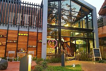 Baan Mai Kradan Hostel Chiang Rai - Budget - Dorm