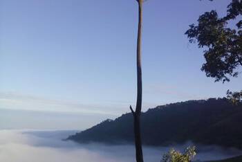 Ban Chomdoi Resort Pha Tang - Budget - Twin Room