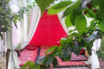 Guest House Dinara - Budget - Twin Room