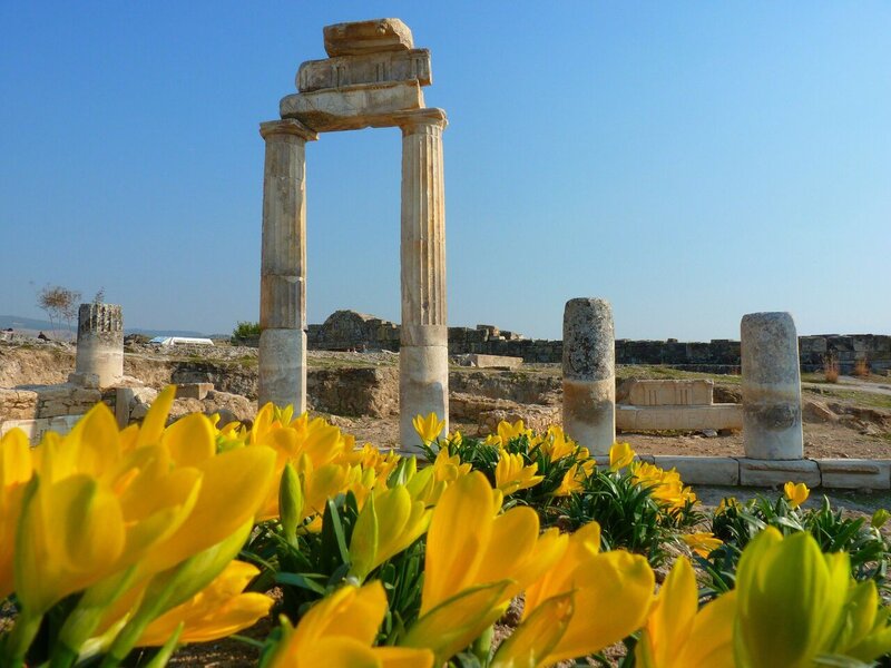 blomster foran Hieropolis ruiner i Pamukkale, Tyrkiet