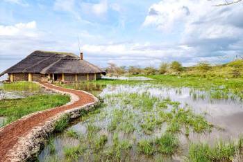 Africa Safari Lake Manyara - Mid-Range - Tented Camp