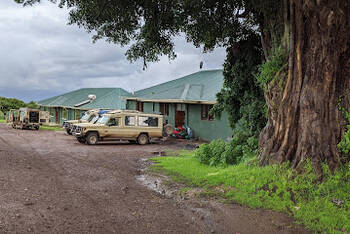 Simba Campsite - Budget - Campground