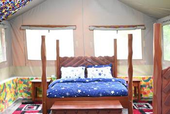 Drunken Elephant Mara - Budget - Tent