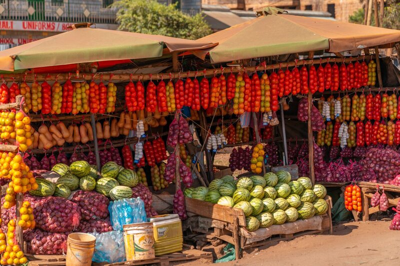 7 Days 2 Weeks Backpacking Kenya Itinerary for Solo Travelers