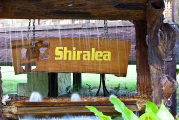 Shiralea Island Resort - Budget - Dorm