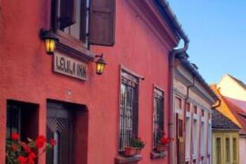 Pensiunea Lelila Inn - Budget - Twin Room