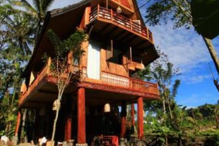 Padi Ecolodge - Mid-Range - Double Room