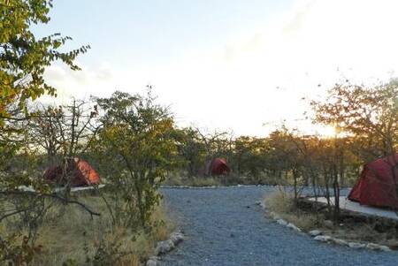 Etosha Village Campsite - Budget - Campsite without Tent