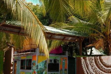 Flutterby House Hostel - Budget - Dorm