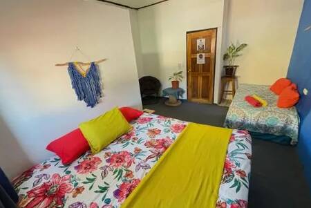 Passifloras Hostel - Budget - Dorm