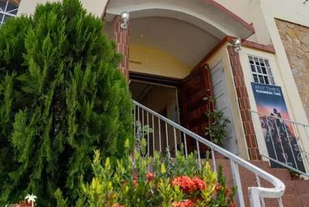 Yellow Belly Backpackers - Budget - Dorm