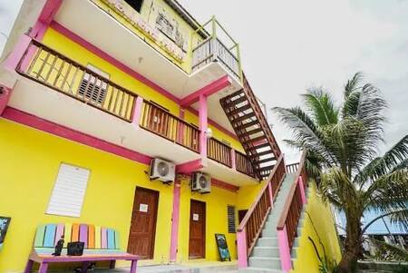 Travellers Palm Backpackers - Budget - Dorm