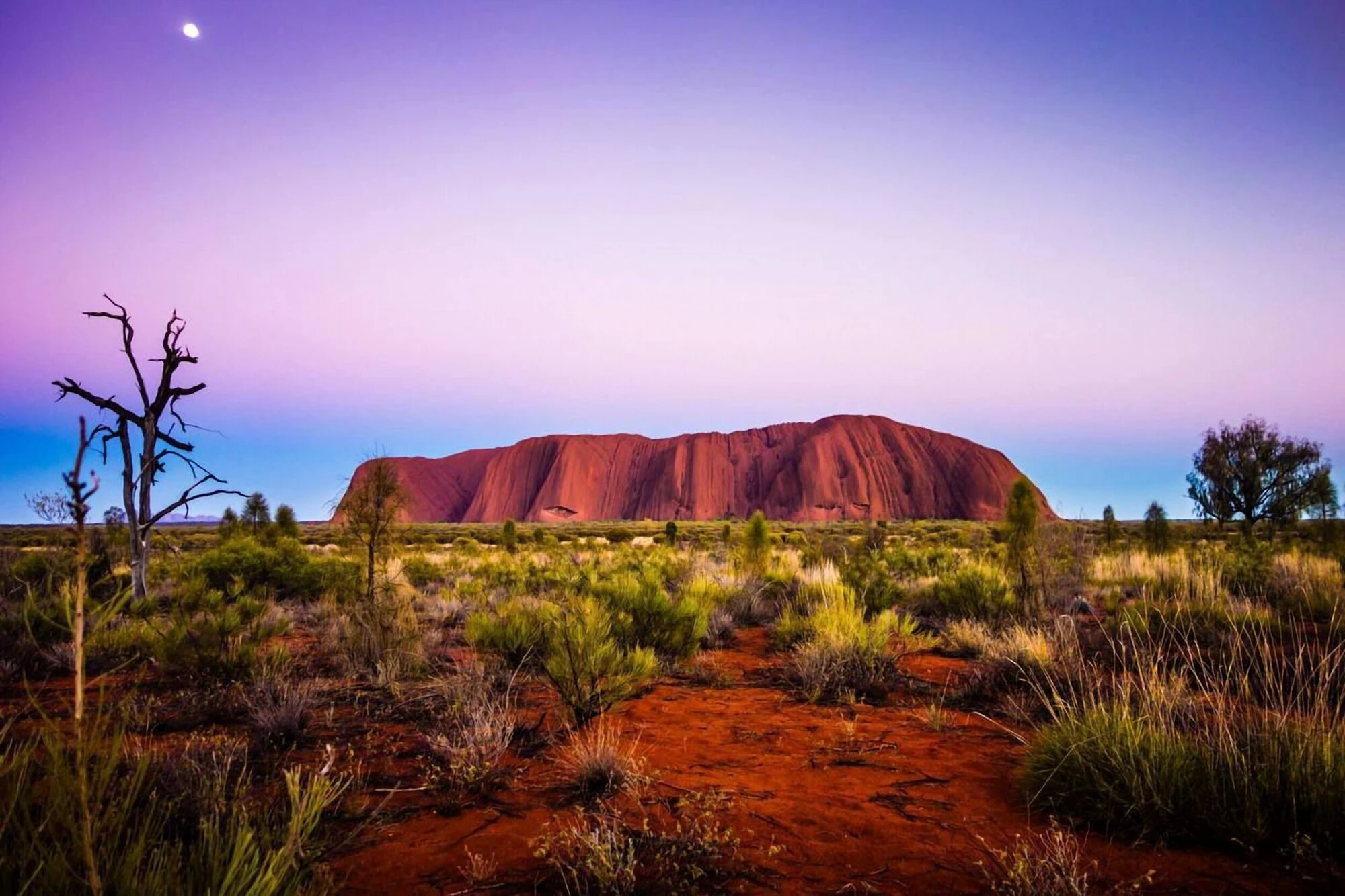 Incredible Things to Do in Uluru and Kata Tjuta - A Travel Guide to Exploring Uluru and Kata Tjuta in Central Australia
