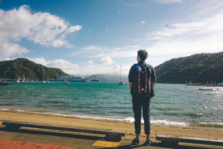 How to get from Wellington to Picton, New Zealand - A Complete Guide on How to Cross from the North to the South, New Zealand