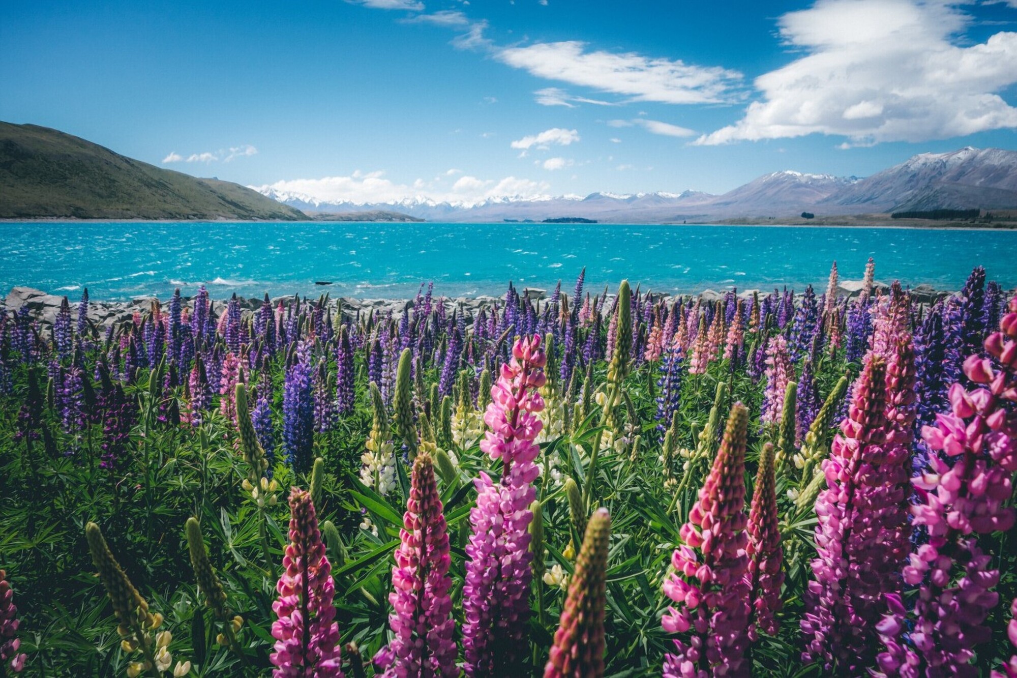 Best Things To Do In Lake Tekapo Mt Cook In