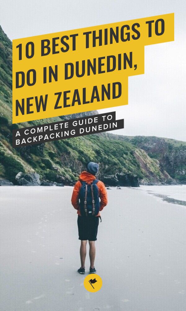 Share Dunedin: 10 Fantastic Things to See and Do on Pinterest.