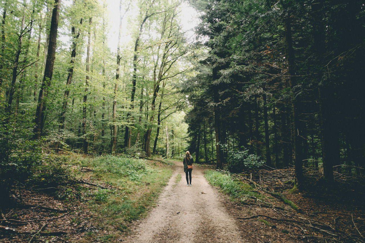 Where is home? - My Quest in Search of Where I Belong