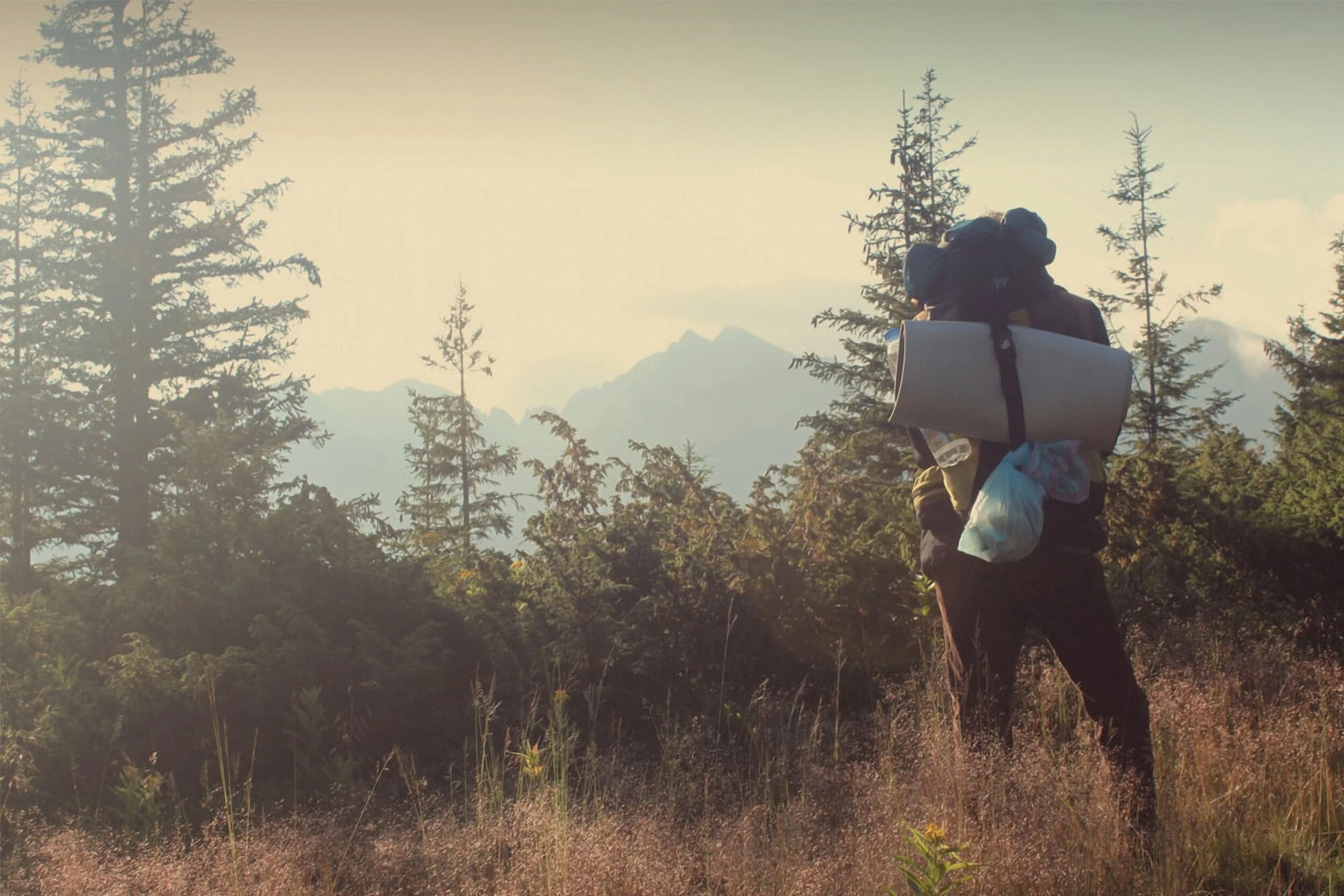 My Bag was stolen in Germany - This is how I dealt with the sh*tstorm that came after