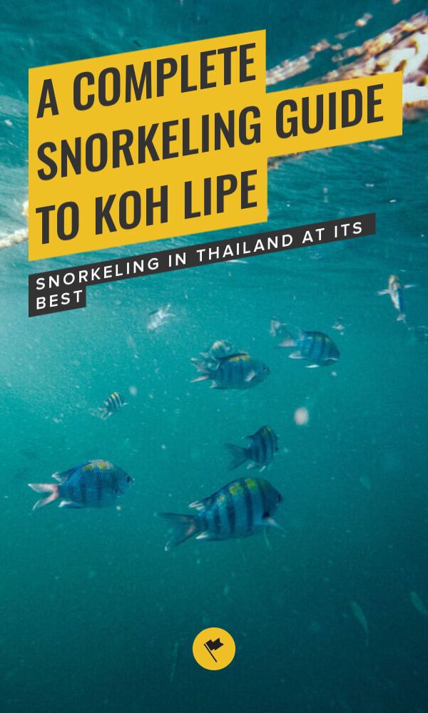 A Travel Guide to Snorkeling in Koh Lipe, Thailand in 2023 - Snorkeling ...