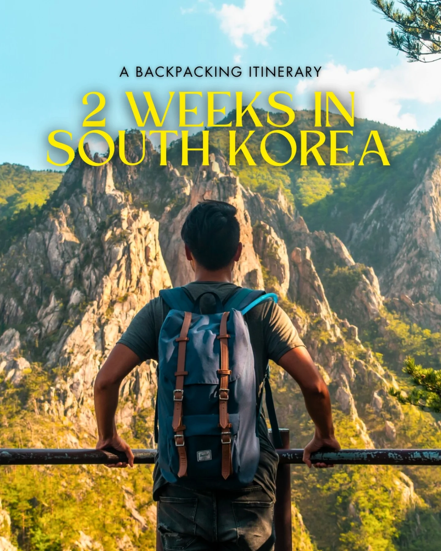 Share 2 Weeks in South Korea: A Complete Itinerary on Pinterest.