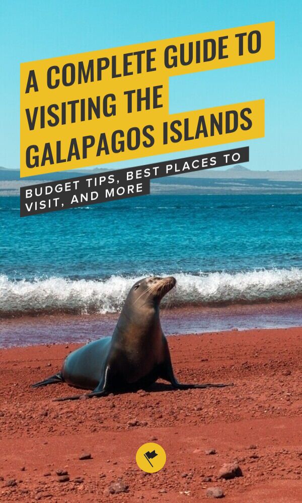 How To Visit the Galapagos Island Cheaply - Galapagos On BuDget Cheap Backpacking Pinterest Image New