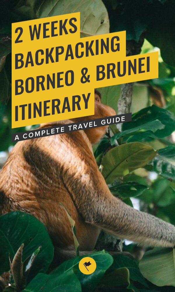 2 Weeks Backpacking Borneo & Brunei Itinerary For Solo Travelers