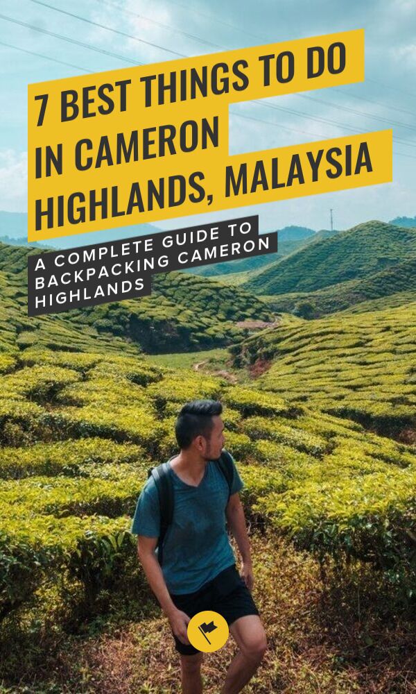 Share 7 Fantastic Things to Do in Cameron Highlands, Malaysia on Pinterest.