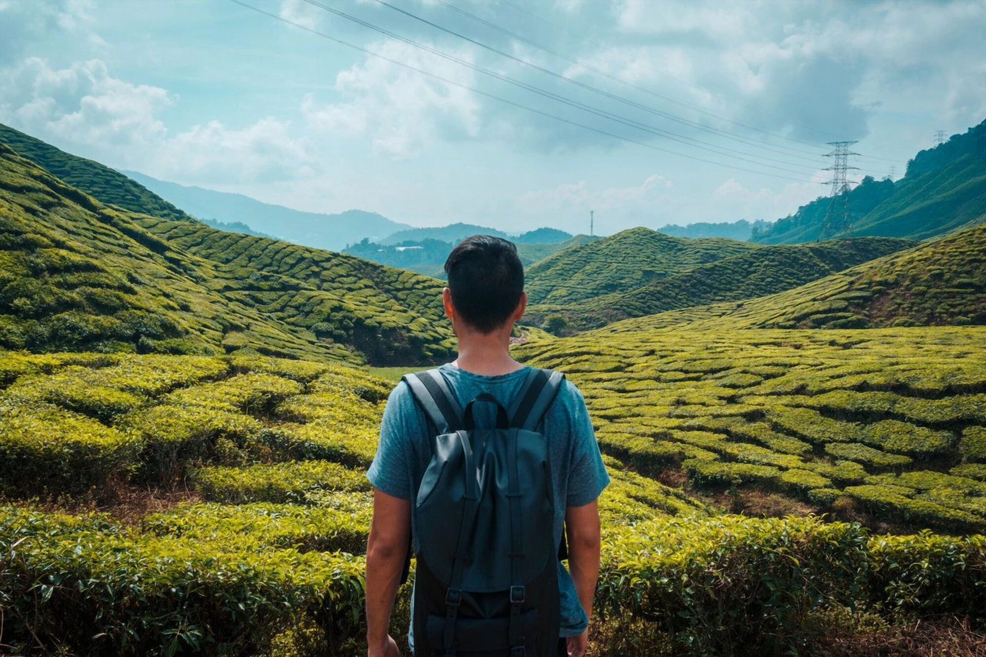 A Complete Hiking Guide to Cameron Highlands, Malaysia - Best Jungle Trails, Hiking Maps, Things to Prepare and More