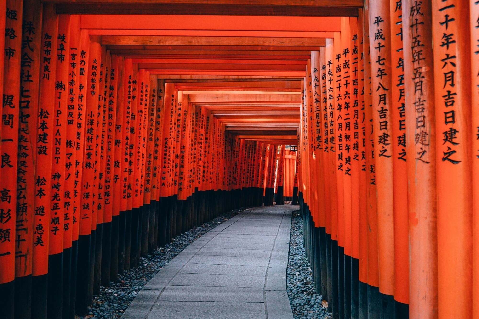 16 Best Things to Do in Japan in 2024